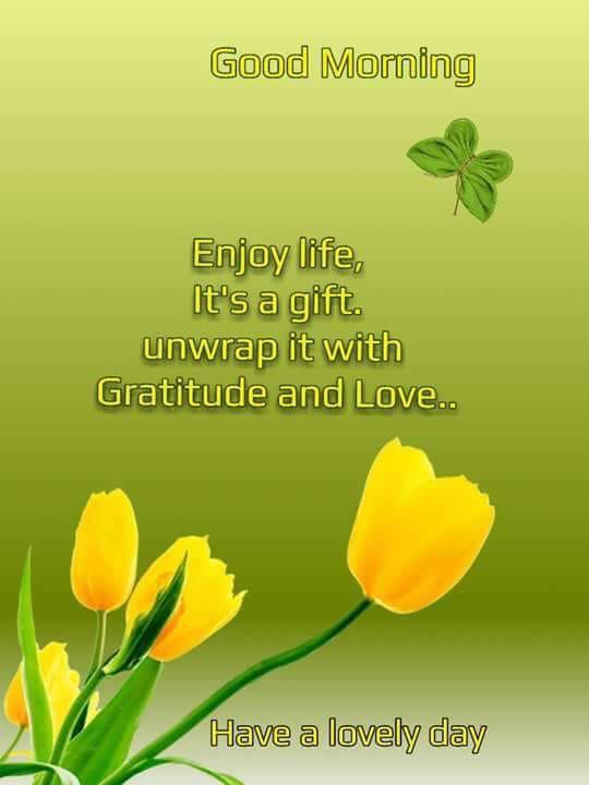 Enjoy Life, it’s a Gift. Unwrap it With Gratitude And Love
